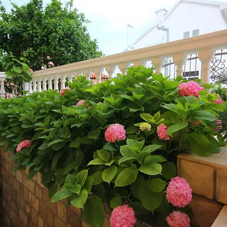 With Parking Space Orebic, Peljesac - 10194 オレビック